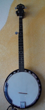 Washburn 5 String Banjo